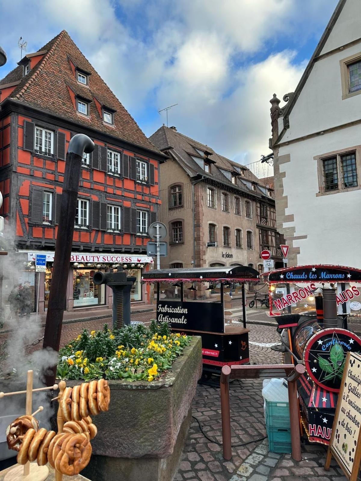 Bienvenue Au Coeur D Alsace-Centre Obernai -3 Etoiles - Daire Dış mekan fotoğraf